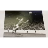 FOOTBALL, signed photo by Harry Gregg, in action for Manchester United v Sheffield Wednesday, from