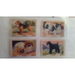 DOGS, part sets & odds, inc. Weeties Tailwaggers (37), Wills, Suchard, Tuckfield, Ardath, many