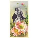 TADDY, Actresses with Flowers, No. 11 Miss Maude Fealy, VG