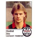 PANINI, football, 1987 Germany issue, duplication, EX, 300*
