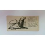 BARRATT, Natural History, No. 1 Sea Lion, VG