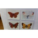 MIXED, large, complete (18), inc. Wills (6), Butterflies & Moths, Famous British Authors, Heraldic