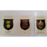 PHILLIPS, County Cricket Badges, complete, medium silks, no BDV, stained (2), G to VG, 17