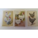 POULTRY, reward cards, postcards etc., inc. Feathered World (11), IRSNB (5), comedy, greetings etc.,