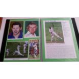 CRICKET, signed magazine photos, profile pages etc., some multiple signed, loose in two plastic