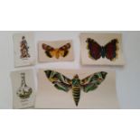 LEA, silks, inc. Old Pottery & Porcelain (46+46); Butterflies & Moths, small (complete), medium (