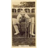 WILLS, Cricket Season 1928/9, Australian issue, G to EX, 27