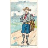 GALLAHER, Boy Scout Series, brown back, FR to G, 88*