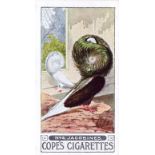 COPE, Pigeons, complete, VG to EX, 25