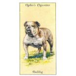 OGDENS, complete (3), Billiards by Tom Newman, Dogs, Famous Rugby Players, VG to EX, 100