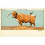 LEMCO, Types of Cattle, complete, postcards, VG, 6