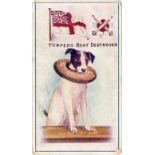 ROBINSON & SONS, Regimental Mascots, No. 21 Torpedo Boat Destroyer, corner knocks, G