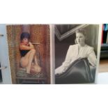 POSTCARDS, selection of modern advertising postcards, glamour related, inc. Erasmic, Reckitts,