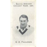 TADDY, South African Cricket Team 1907, Faulkner, G