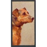 TADDY, Dogs, No. 17 Airedale Terrier, VG