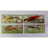 SEN-SEN CHICLET CO., Bird & Their Eggs, Chiclets Bird Card Series (3) & Bird Studies (2), US gum