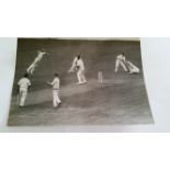 CRICKET, press photos, South Africa in England, 1951, showing Bedser batting & three SA players with