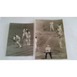 CRICKET, press photos, Australia v England, 1954/5, showing Favell lbw Statham, Edrich b Johnston,