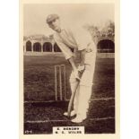 PHILLIPS, Cricketers (1924), Nos. 13-15 (all Australian), 90, 142 & 207, large, brown backs, G to