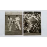CRICKET, press photos, Australia in England, 1956, showing Lindwall bowling, Burge lbw Wardle,