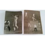 CRICKET, press photos, Australia v England, 1954/5, showing Benaud batting, Johnson bowling, Statham