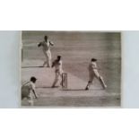 CRICKET, press photos, Australia v England, 1954/5, showing Harvey batting, Cowdrey batting (with