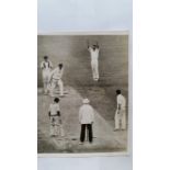 CRICKET, press photo, Australia in Pakistan, 1964/5, showing Nasimul Ghani b Sincock, press stamp to