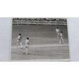 CRICKET, press photos, Australia v England, 1958/9, showing Favell scoring Ashes-winning runs,