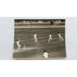 CRICKET, press photos, Australia in England, 1961, showing Murray c Grout b McKenzie, rain delay