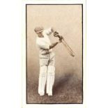 ERINDALE, Australian Cricketers, Bradman (New South Wales), VG