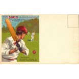 SUGG, advert p/c, showing batsman receiving ball, VG