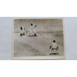 CRICKET, press photos, Australia v South Africa, 1963/4, showing Pollock batting off Connolly,