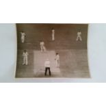 CRICKET, press photos, Australia v England, 1954/5, showing Benaud batting (2), Harvey c Evans b