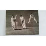 CRICKET, press photos, Australia in England, 1953, showing Miller c Trueman b Laker, Australians