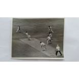 CRICKET, press photos, Australia v India, 1967/8, showing Wadekar & Abid Ali batting off