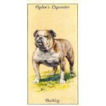 OGDENS, complete (2), Construction of Railway Trains, Dogs, G to VG, 100