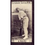 CLARKE, Cricketers, No. 20 Ward (Lancashire), VG