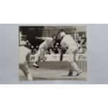 CRICKET, press photos, Australia in England, 1977-1978, showing Walker bowling, Sarjeant batting,