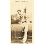 PATTREIOUEX, Famous Cricketers, C81 Rippon (Somerset), printed back, VG