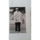 CRICKET, signed photo by David Shepherd, full-length unpiring, 8 x 10, EX