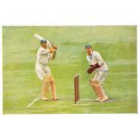 SANELLA, Sport, cricket, German trade issue (c1933), EX