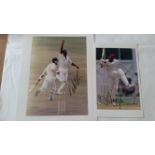 CRICKET, signed photos by West Indian cricketers, inc. Brian Lara (5 x 8.25), Desmond Haynes,