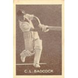 GRIFFITHS, Australian Cricketers (1937), Badcock, black Black Crow back, G