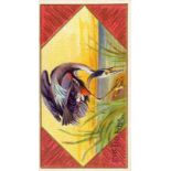 ALLEN & GINTER, Game Birds, Great Blue Heron, EX