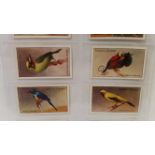 GALLAHER, Zoo Tropical Birds 1st & 2nd, complete, EX, 100
