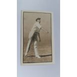 ERINDALE, Australian Cricketers, Fairfax (New South Wales), EX