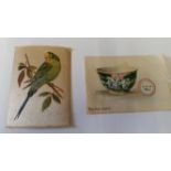 MORRIS, large silks, inc. English & Foreign Birds (8) & Pottery Types (18+6), with backing cards,