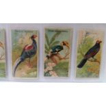 ALLEN & GINTER, Birds of the Tropics, creased (3), FR to G, 14