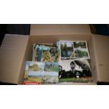 POSTCARDS, mainly modern UK topographical, inc. views, art, animals, coastal, humour, greetings,