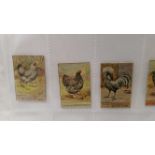 SPRATT, Poultry Series, un-numbered, miniature, Nos. 35-44, VG, 10